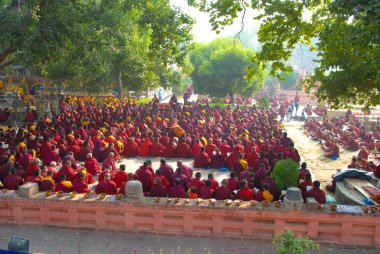 Budist rahipler Mahabodhi Tapınağı'nda bodhi ağacının altında oturan 