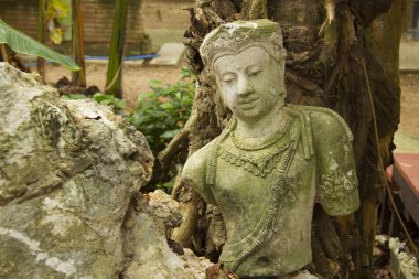 Tr altında taş zemin üzerinde Bodhisattva Buddha Heykeli