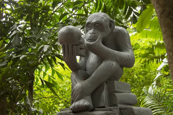 Monkey statue sitting on a book looking at human skull in watpan