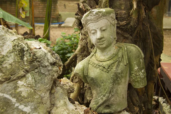 Tr altında taş zemin üzerinde Bodhisattva Buddha Heykeli