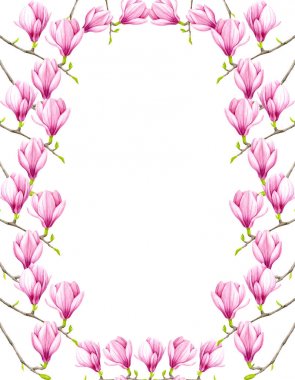 Güzel suluboya pembe manolya çiçek çerçeve