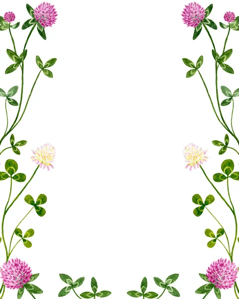 Aquarel klaver bloemen en bladeren frame. — Stockfoto