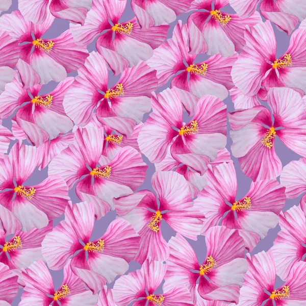Aquarela rosa hibisco flor sem costura padrão — Fotografia de Stock