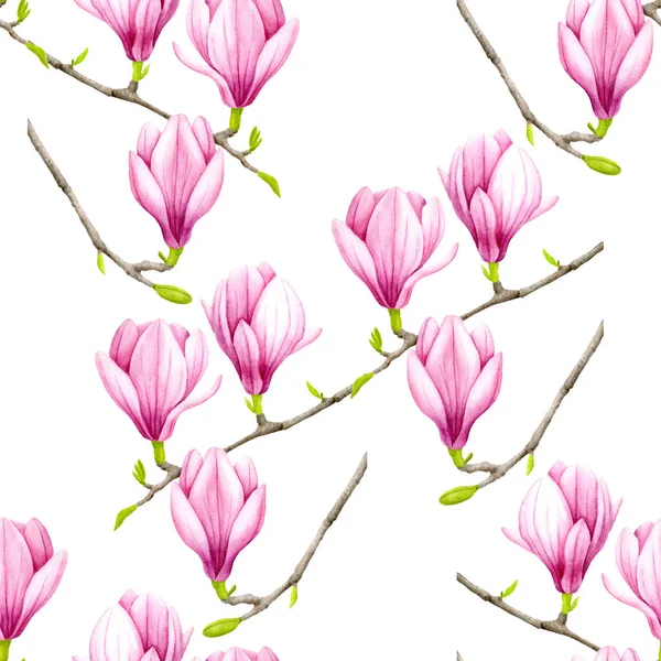 Aquarell rosa Magnolienmuster — Stockfoto