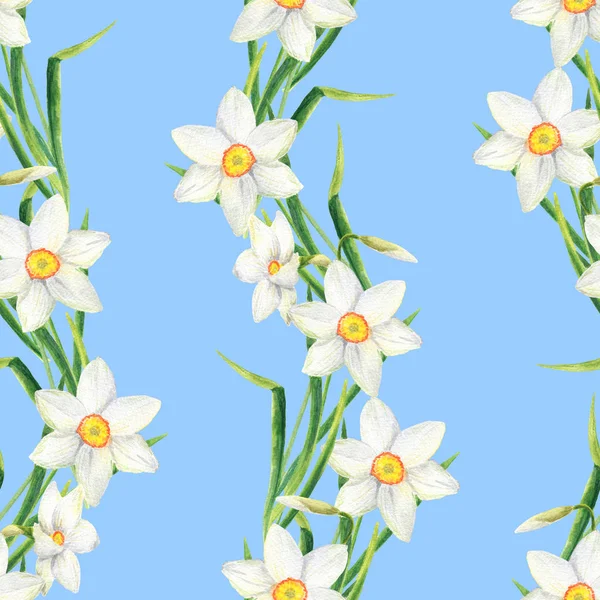 Akvarell Narcissus blomma sömlösa mönster — Stockfoto