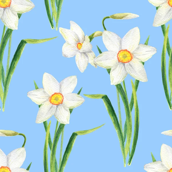 수채화 수선화 꽃 원활한 패턴입니다. 파란색 배경에 고립 된 손으로 그린 수선화 꽃다발 그림 — 스톡 사진
