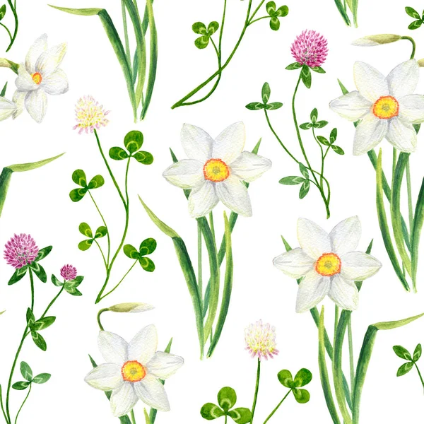 Akvarell nárcisz és lóhere virág varrat nélküli minta — Stock Fotó