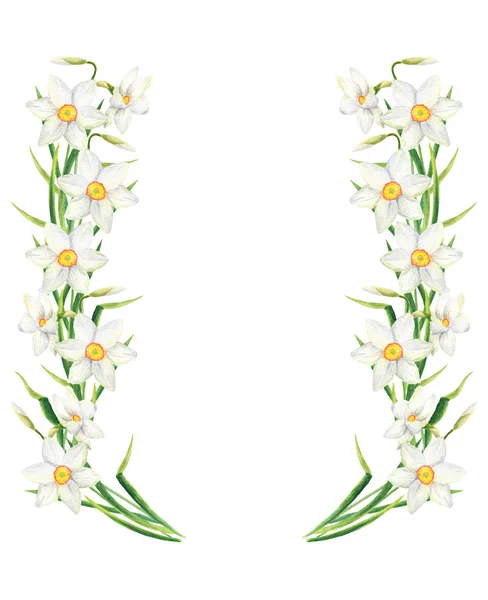 Suluboya narcissus çiçek dikdörtgen çerçeve. Beyaz arka planda izole edilmiş el çizilmiş nergis çelenk illüstrasyonu — Stok fotoğraf