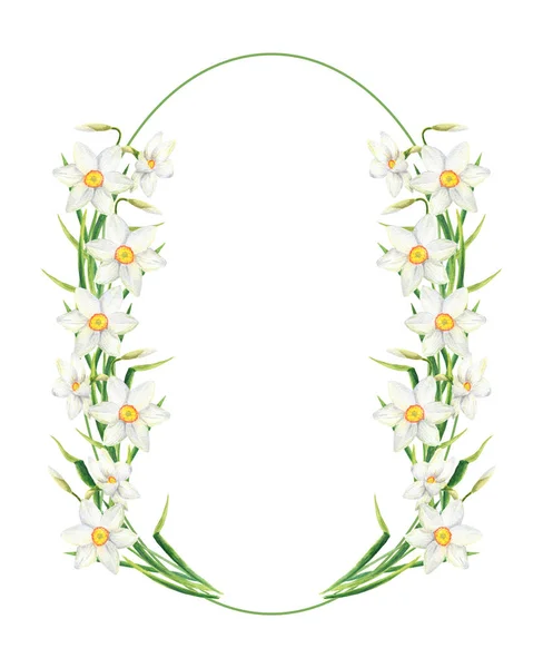 Akvarell Narcissus blomma rund ram — Stockfoto