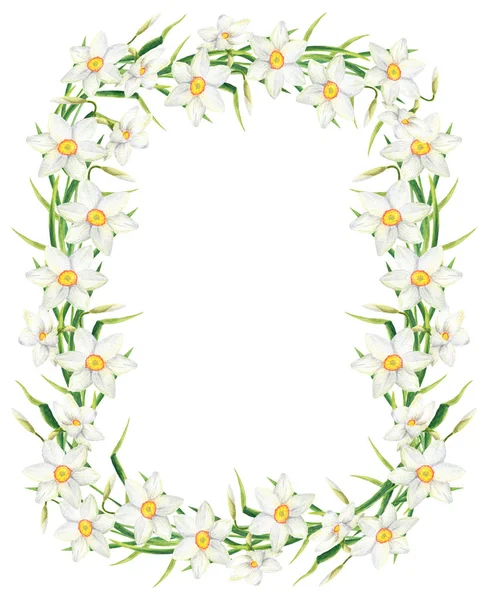 Acquerello narciso fiore rettangolo cornice. Illustrazione a ghirlanda di narcisi disegnata a mano isolata su sfondo bianco. Progettazione floreale per invito, biglietto di auguri, scrapbooking, matrimonio, cosmetici pacchetto — Foto Stock