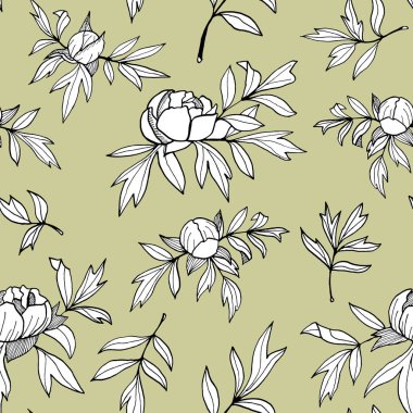 Şakayık çiçek, tomurcukları, tek renkli dikişsiz desen bırakır. El çizilmiş anahat çiçek illüstrasyon. Davetiyeler, kartlar, tekstil için pastel arka plan üzerinde siyah ve beyaz botanik kroki,