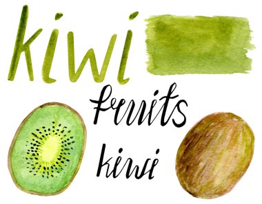 Suluboya meyve seti. Kivi dilimi, elle çizilmiş yazı ve arka plan fırça smear beyaz izole ile kaligrafi