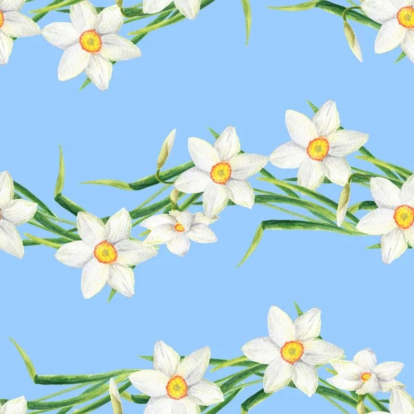 Akvarell Narcissus blomma sömlösa mönster. Handritad påsklilja linje illustration. Blommönster för textil, tapeter, omslag, gratulationskort, scrapbooking, bröllopsinbjudan och paket. — Stockfoto