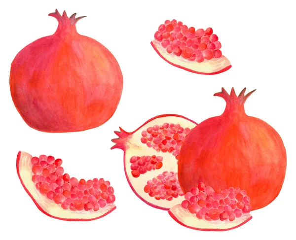 Vodičitan granátová sada. Ručně tažené červené ovoce ilustrace izolované na bílém pozadí pro návrh potravinové sady, dekorace, menu, kryty. — Stock fotografie
