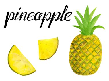 Suluboya ananas seti. El çizilmiş tropikal dilimler ve meyve illüstrasyon beyaz arka plan üzerinde izole. Tekstil, menü, kartlar, hurda, gıda ambalajı, ambalaj için tasarım.