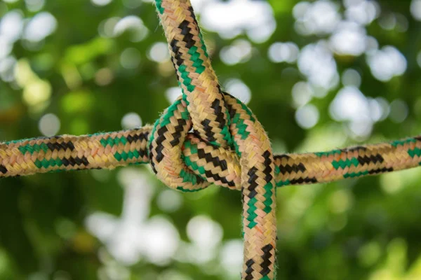 Colored ropes tied in a knot on a natural green blurred background
