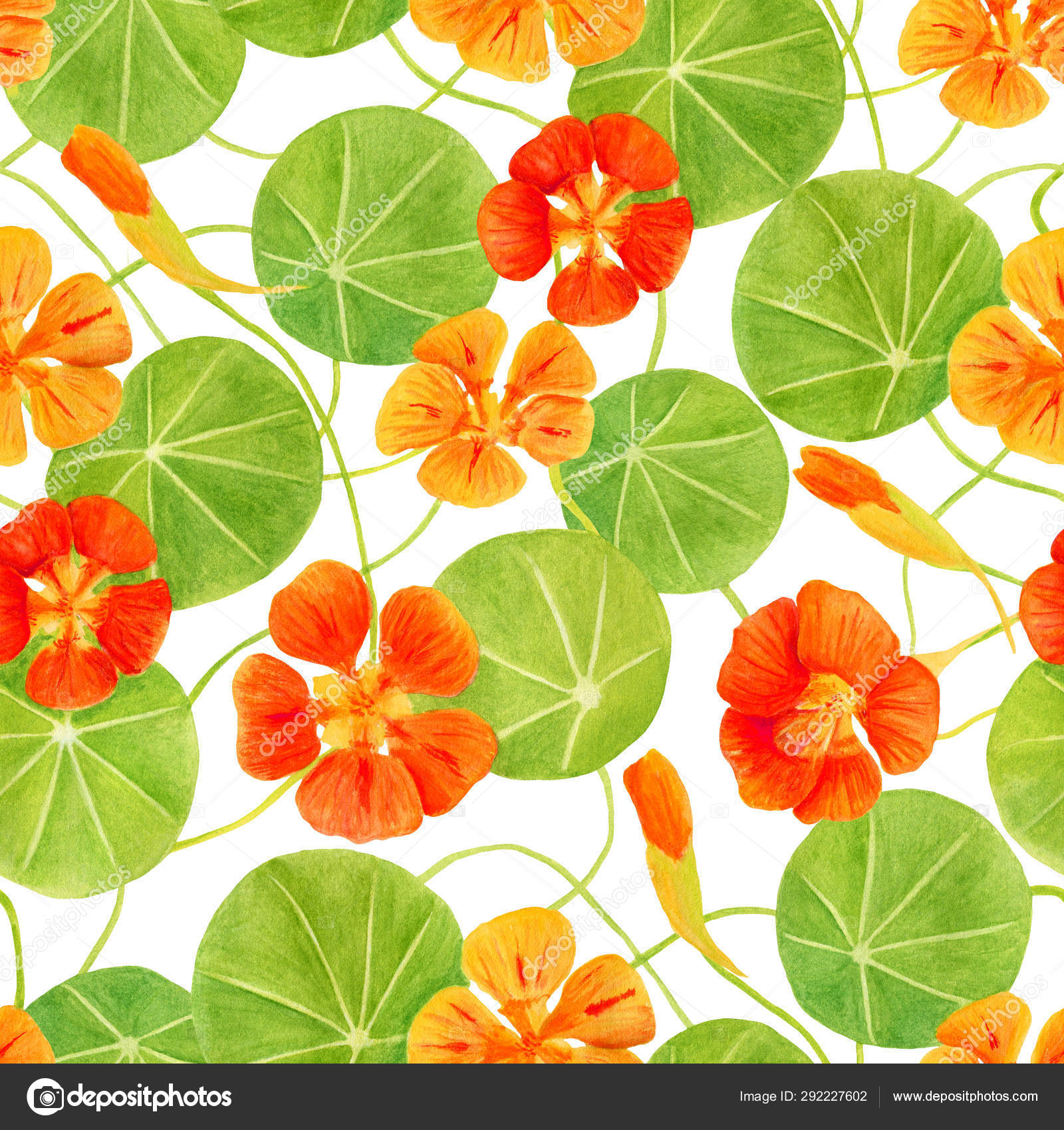 Red Orange Yellow Nasturtium Flowers And Leaves Seamless Pattern Hand Drawn Botanical Watercolor Illustration With Garden Flowers Floral Decoration For Invitation Greeting Cards Textile Print Stock Photo C Olya Haifisch 292227602