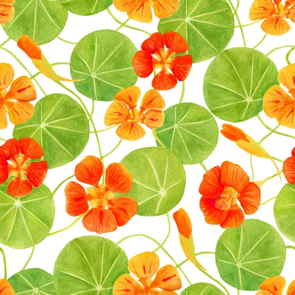 Red, orange, yellow nasturtium flowers and leaves seamless pattern. Hand drawn botanical watercolor illustration with garden flowers. Floral decoration for invitation, greeting cards, textile, print. — Stock Photo, Image