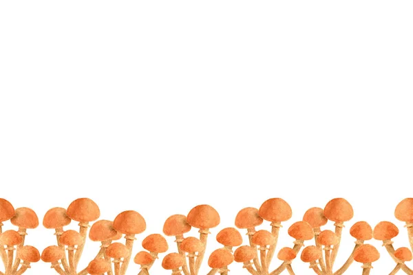 Акварельні осінні гриби безшовні кордони. Ручний намальований ботанічний шаблон з медовим грибком ізольований на білому тлі для сезонного прикраси, карт, дизайну . — стокове фото