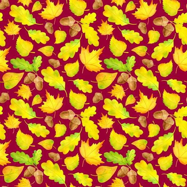 Aquarel kleurrijke gele herfst verlaat naadloze patroon. Hand getekende illustratie met Acorn, esdoorn, elzen, Oak Leaf op witte achtergrond. — Stockfoto