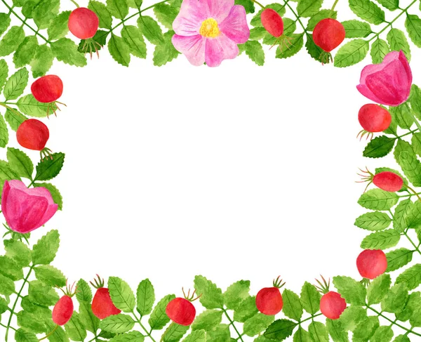 Akvarell nypon, blommor, gröna blad rektangulär ram. Handritade blommig mall för affisch, inbjudan, gratulationskort, dekoration, bröllops design. — Stockfoto