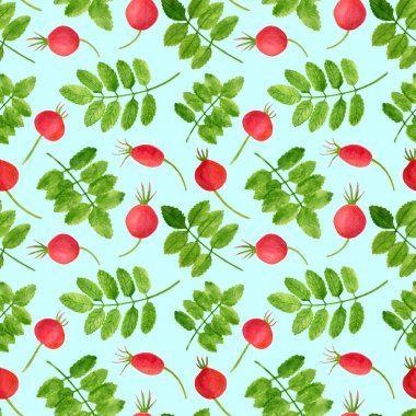 Suluboya kırmızı gül kalça ve yaprakları dikişsiz desen. Yeşil bitkiler ve mavi brier çilek ile el çizilmiş arka plan. Ev dekorasyonu, tasarım, tekstil, kartlar, dekorasyon, kozmetik için çiçek şablonu.