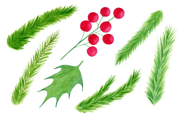 Aquarel vuren takken, Holly blad en bessen set. Hand getekende kerst elementen voor decoratie. Groene planten voor vakantie design, scrapbooking, sjabloon voor frames. — Stockfoto