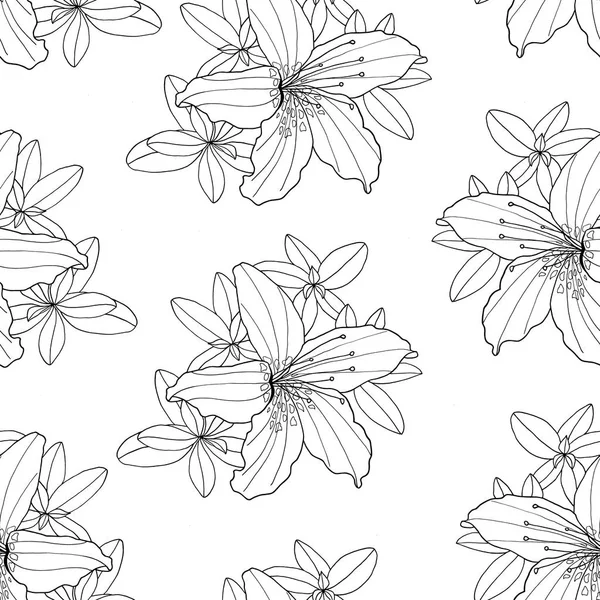 Zarys dekoracyjny Rhododendron i lilia kwiat bezszwowe wzór. Botaniczny ręcznie rysowane czarno-biały kontur monochromatyczny ilustracji dla tekstyliów, kolorowanka, kartki okolicznościowe, druk, projektowanie mody. — Zdjęcie stockowe