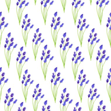 Suluboya güzel campanula dikişsiz desen. Beyaz arka plan üzerinde izole bluebell ile soyut çiçek illüstrasyon. Tasarım, dekorasyon, kumaş, tekstil, baskı için el çizilmiş mor çiçekler.