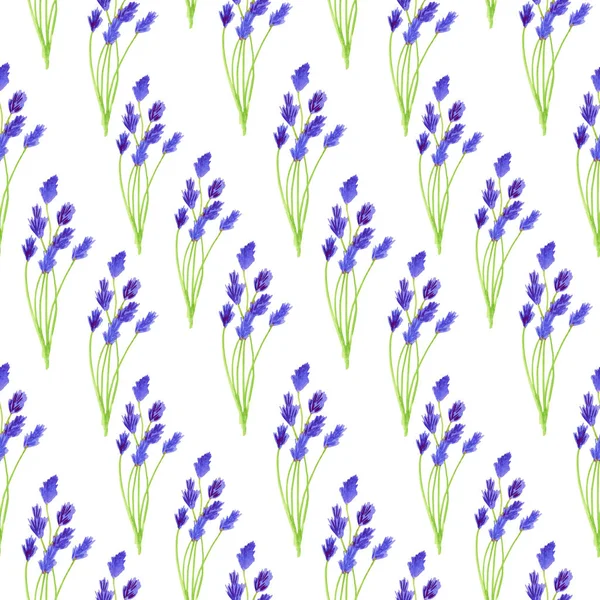 Suluboya güzel campanula dikişsiz desen. Beyaz arka plan üzerinde izole bluebell ile soyut çiçek illüstrasyon. Tasarım, dekorasyon, kumaş, tekstil, baskı için el çizilmiş mor çiçekler.