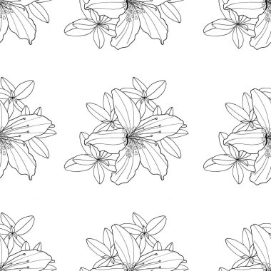 Anahat dekoratif Rhododendron ve Lily çiçek dikişsiz desen. Tekstil, boyama kitabı, tebrik kartı, baskı, moda tasarımı için botanical el çizilmiş siyah ve beyaz kontur monokrom illüstrasyon çizilmiş.