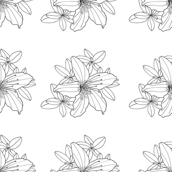 Outline dekoratif Rhododendron dan Lily bunga pola mulus. Tangan botani digambar hitam dan putih kontur gambar monokrom untuk tekstil, buku mewarnai, kartu ucapan, cetak, desain busana . — Stok Foto
