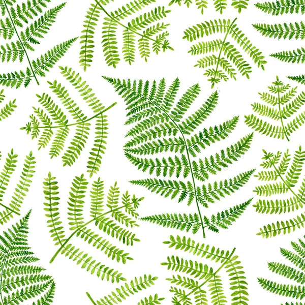 Akvarell zöld páfrány hagy zökkenőmentes mintát. Kézzel rajzolt botanikai illusztráció elszigetelt fehér háttér. Virágillusztráció textil, szövet, design, tapéta, borítók, kártyák, meghívó számára. — Stock Fotó