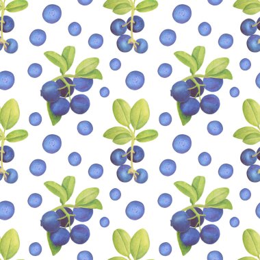 Suluboya yaban mersini deseni. Böğürtlenli el çizimi dallar ve beyaz arka planda yapraklar. Tasarım için orman bitkisi, kartlar, davetiyeler, duvar kağıdı, ambalaj, tekstil, gıda ambalajı.
