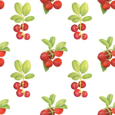 Suluboya inek böğürtlensiz desen. Kırmızı böğürtlen ve beyaz arka planda yapraklarla el çizimi dallar. Tasarım için orman bitkisi, kartlar, davetiyeler, duvar kağıdı, ambalaj, tekstil, gıda ambalajı.