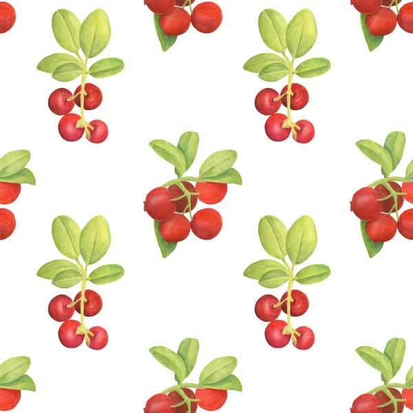 Aquarell Preiselbeere nahtloses Muster. handgezeichnete Zweige mit roten Beeren und Blättern auf weißem Hintergrund. Forstbetrieb für Design, Karten, Einladungen, Tapeten, Verpackungen, Textilien, Lebensmittelverpackungen. — Stockfoto