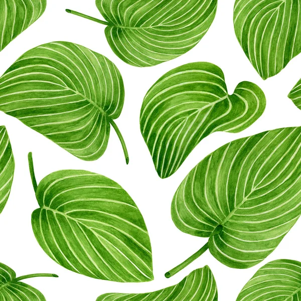 Watercolor green leaves with plant veins seamless pattern. Hand drawn big hosta plantaginea herbs isolated on white background. Element for design, decoration, cards, textile, invitations. — Stock Photo, Image
