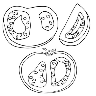 Vektör grafik domates seti. El çizimi ve yarım kesilmiş domates sebzeleri beyaz arka planda izole edilmiş. Yemek malzemeleri karalama çizimi içeriyor. Sağlıklı yemek, vejetaryen.