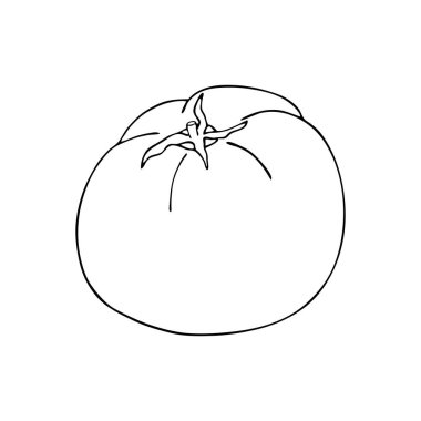 Vektör grafik domates. El çizimi tüm sebze hatları beyaz arka planda izole. Yemek malzemesi çizimi. Sağlıklı gıda, paket, tasarım ve pazar için vejetaryen..