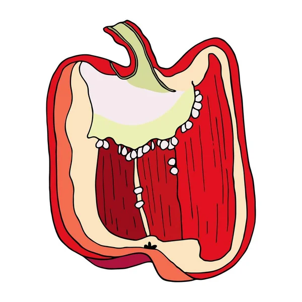 Taze Kırmızı Dolma Biber Yapımı Sebze Vektörü Beyaz Arka Planda — Stok Vektör