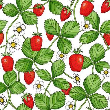 Yapraklı ve çiçekli tatlı çilek. Renkli çizgi film vektör çizimi. Parlak bitkiler ve kırmızı böğürtlenler paket, baskı, ambalaj, duvar kağıdı için beyaz zemin üzerinde izole.