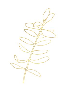 Altın yapraklar. Beyaz arka planda izole edilmiş altın desenli çay ağacı dalı. Logo, tasarım, kartlar, baskı, paket, çıkartma, kozmetik, dekorasyon için bitkisel illüstrasyon