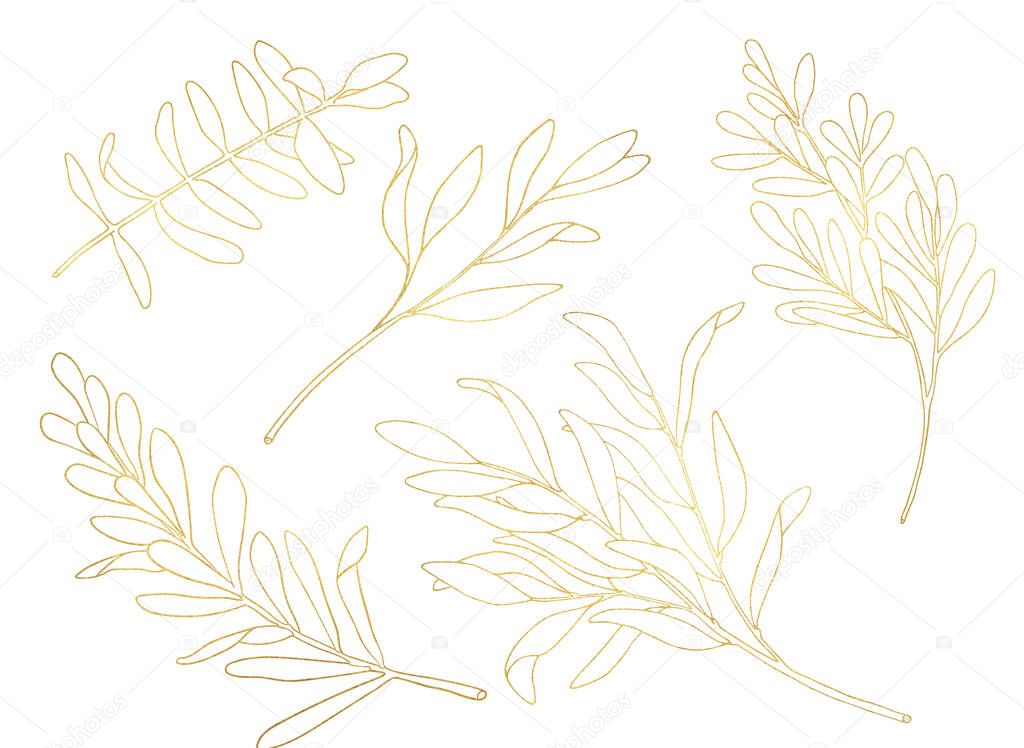 Outline leaf with golden texture set. Hand drawn Tea tree branches with leaves isolated on white background. Eucalyptus illustration for logo design, cards, printing, package, stickers, cosmetics, decoration