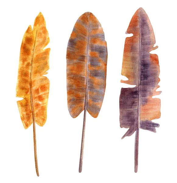 Watercolor Feathers Set Hand Painted Vintage Boho Elements Vibrant Colored — Stock Photo, Image