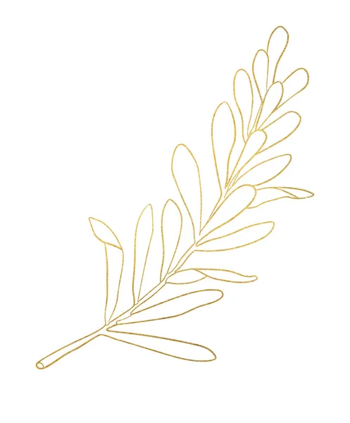 Vázlatos Levél Arany Textúrával Kézzel Rajzolt Teafa Levelek Elszigetelt Fehér — Stock Fotó