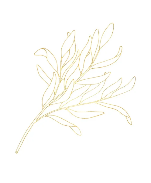 Outline Leaf Golden Texture Hand Drawn Tea Tree Branch Leaves — Stock Photo, Image