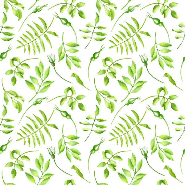 Akvarell Gröna Blad Sömlösa Mönster Handritade Örter Kvistar Och Blomknoppar — Stockfoto