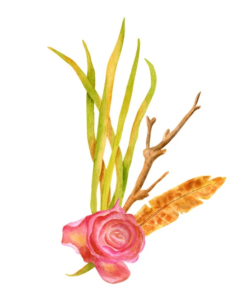 Aquarell Getrocknete Rose Blätter Federn Und Nackte Zweige Illustration Handgezeichnete — Stockfoto