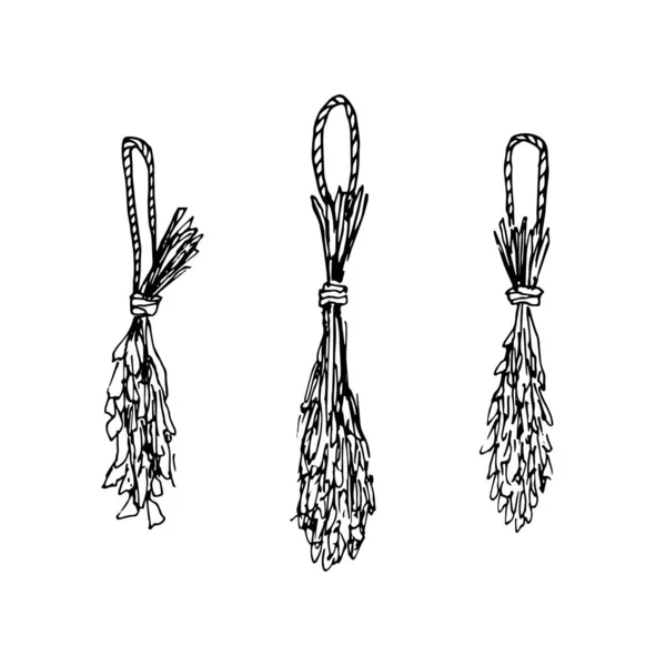 Set von Umrissen Vektor Bündel von trockenem Gras. Handgezeichnete schwarze Kontur hängende Kräuter isoliert auf weißem Hintergrund. Herbarium, Hexerei, Aromatherapie. — Stockvektor