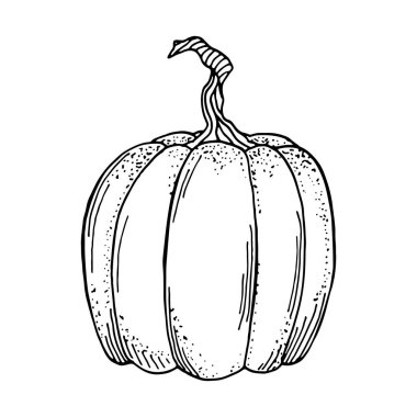 Ana hatlarıyla kabak vektörü çizimi. El çizimi siyah kabak beyaz arka planda izole edilmiş. Kartlar için sonbahar sebze unsuru, boyama kitabı, tarif, dekorasyon, Şükran Günü, Cadılar Bayramı,.